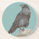 Recherche de corvid dessous de verres Oiseau