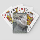 Recherche de loutre jeux de cartes Animaux