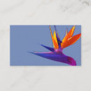 Recherche de paradis cartes visite Floral