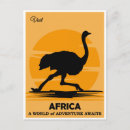 Recherche de ostrich cartes postales Afrique