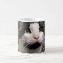 Recherche de blanche de chat tasses Pour tous