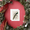 Recherche de histoire naturelle cartes postales Animaux