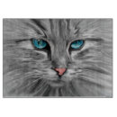 Recherche de couleur planches à découper Planche à découpe