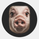 Recherche de troll autocollants Halloween