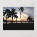 Recherche de palm beach cartes postales Voyage