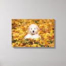 Recherche de races impressions sur toile Chiot