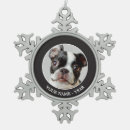 Recherche de noël de terrier photographie Animaux