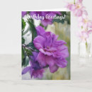 Recherche de rose de sharon Hibiscus