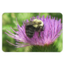 Recherche de chardon magnets Abeille