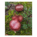 Recherche de marbre posters Forêt