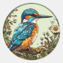 Recherche de martin pêcheur autocollants Nature