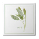 Recherche de persil carreaux Pour tous