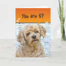 Recherche de kids animal vœux cartes Birthday