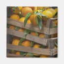 Recherche de vente au détail magnets Plan rapproché