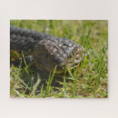 Recherche de lizard puzzles Faune