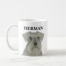 Recherche de schnauzer standard tasses Chien