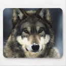 Recherche de tête loup tapis souris Pour tous