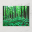 Recherche de voyage 11x14 invitations Aventure