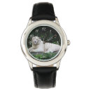 Recherche de tigre montres Blanc