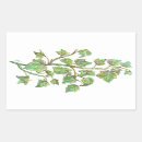 Recherche de feuille de lierre autocollants Plante