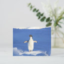 Recherche de pingouin drôle cartes postales Animal