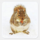 Recherche de gland autocollants Acorn