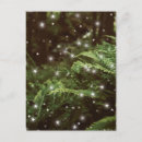 Recherche de fougères cartes postales Boho