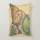 Recherche de coquillages coussins Nature