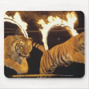 Recherche de cirque tapis souris Tigre