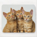 Recherche de visage tigre tapis souris Mignon