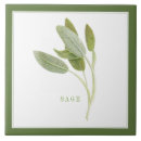 Recherche de romarin carreaux Vert