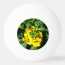 Recherche de abeille balles ping pong Bourdon