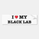 Recherche de labrador noir voiture autocollants Coeur