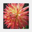 Recherche de vibrant magnets Floral