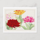Recherche de pivoine japonaise Vintage