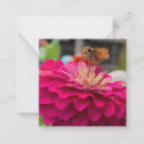 Recherche de mini z Rose