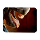 Recherche de cheval drôle magnets Amateurs de chevaux