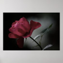 Recherche de buisson posters Pour elle