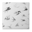 Recherche de hirondelle carreaux Nature