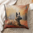 Recherche de malinois belges coussins Pour tous