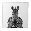 Recherche de zèbre noir et blanc carreaux Afrique