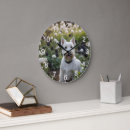 Recherche de terriers horloges Terrier écossais