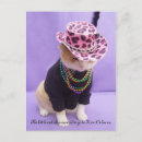 Recherche de mardi gras cartes postales Cajun