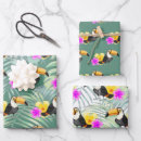 Recherche de toucan papier cadeau Jungle