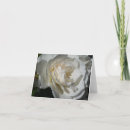 Recherche de pureté Rose