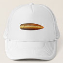 Recherche de puce casquettes Balle