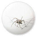 Recherche de araignée boutons et poignées de porte Insecte