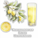 Recherche de fruit de la vie autocollants Limonade