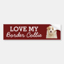 Recherche de mon border collie voiture autocollants Amoureux des chiens