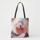 Recherche de chien sacs Animaux